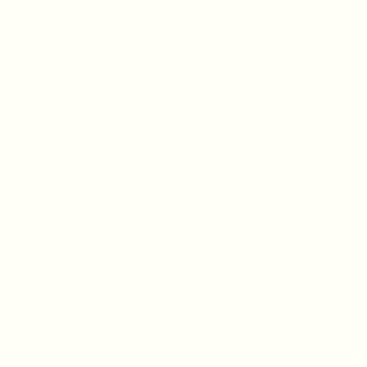 maxmeyer-spray-plastica-bianco-r9010-0-400-l image 3