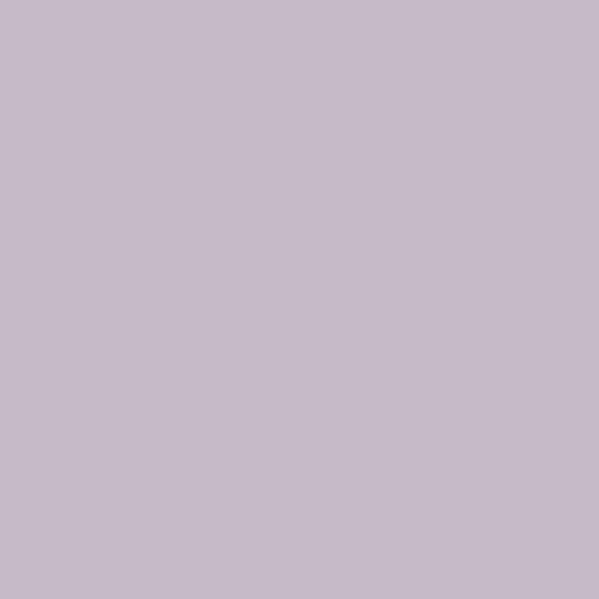 maxmeyer-home-color-superlavabile-color-glicine-2-5l image 4