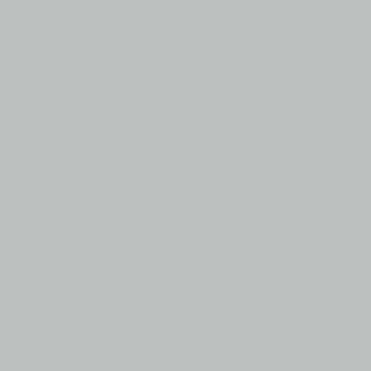 maxmeyer-home-pittura-superlavabile-color-silver-2-5l image 4