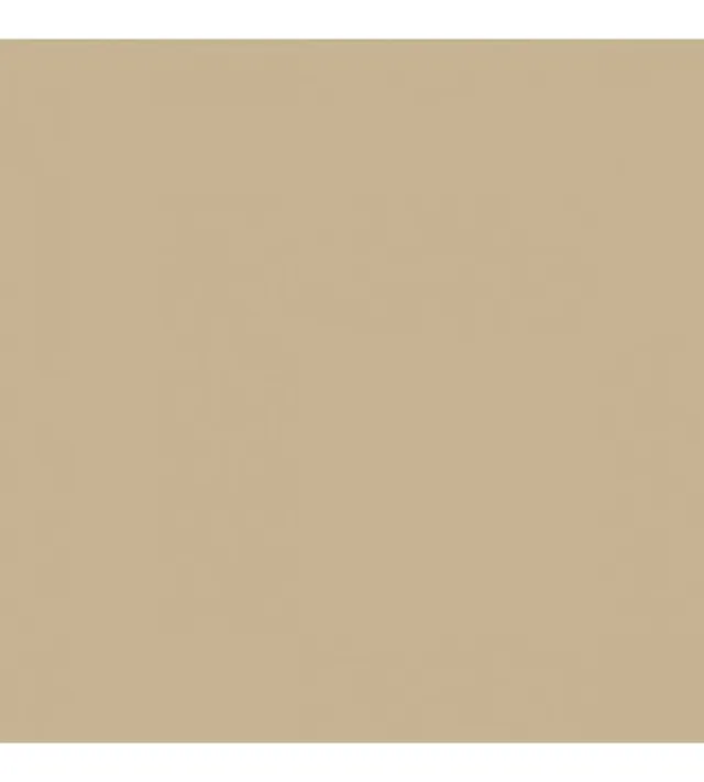 maxmeyer-home-color-pittura-superlavabile-color-dune-2-5-l image 1