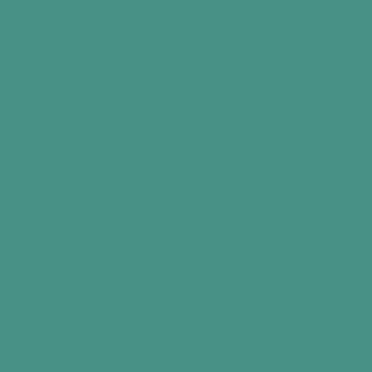maxmeyer-home-pittura-superlavabile-color-pavone-2-5-l image 4