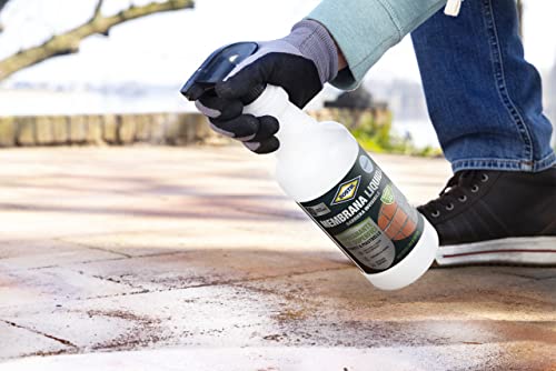 bostik-membrana-liquida-barriera-invisibile-impregnante-trasparente-1-l image 7
