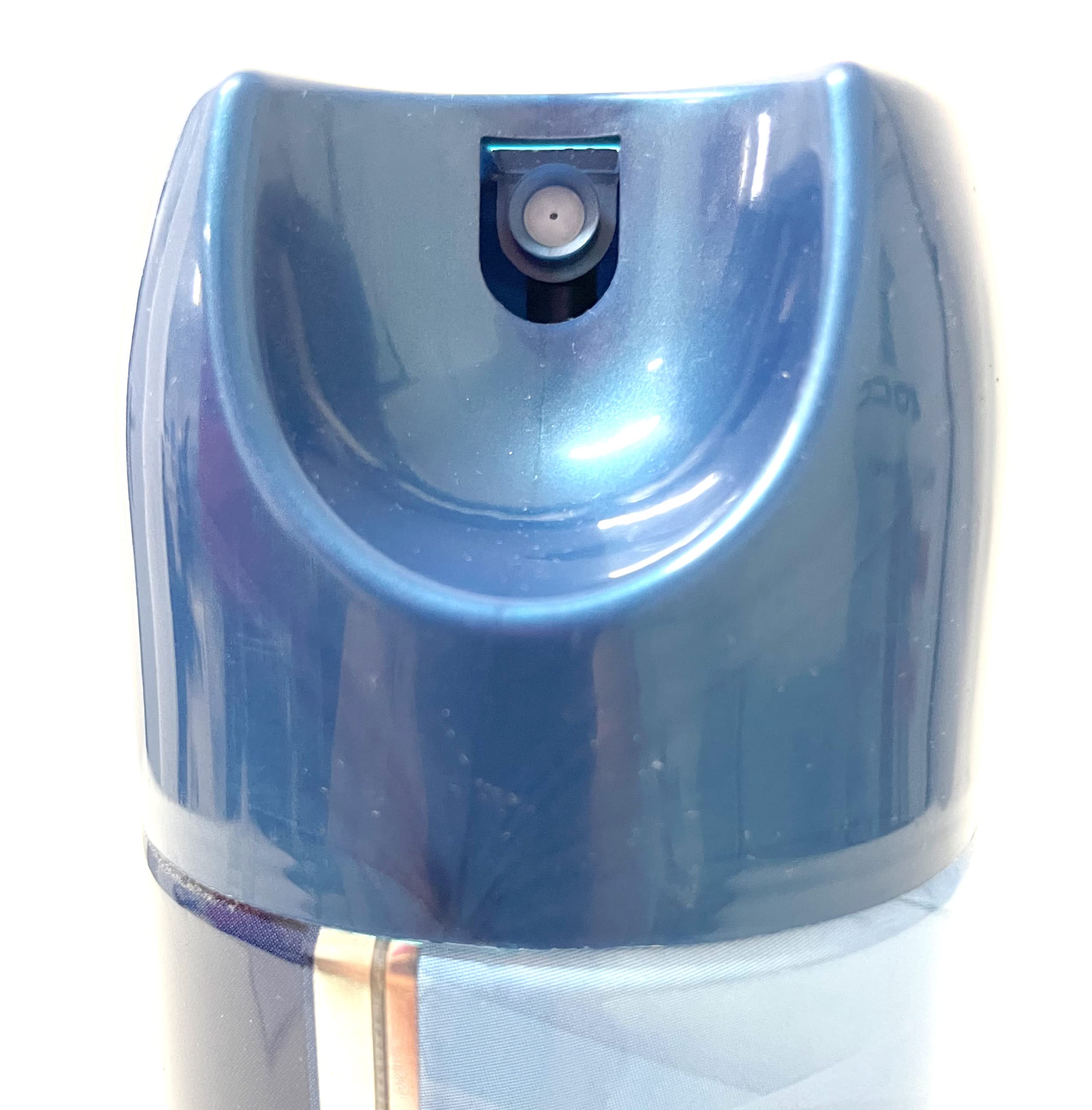 arexons-cruscotti-satinati-spray-600-ml image 5