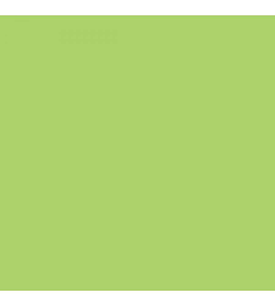 maxmeyer-home-superlavabile-pittura-colorata-bamboo-2-5-l image 3